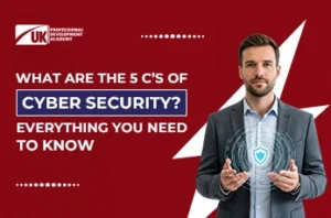 5 C's of Cyber Security