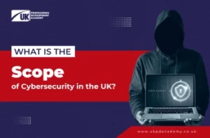 What is the Scope of Cybersecurity in the UK?